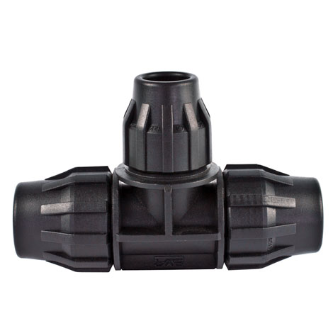 TE BOCA CENTRAL REDUCIDA